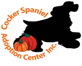 Cocker Spaniel Adoption Center